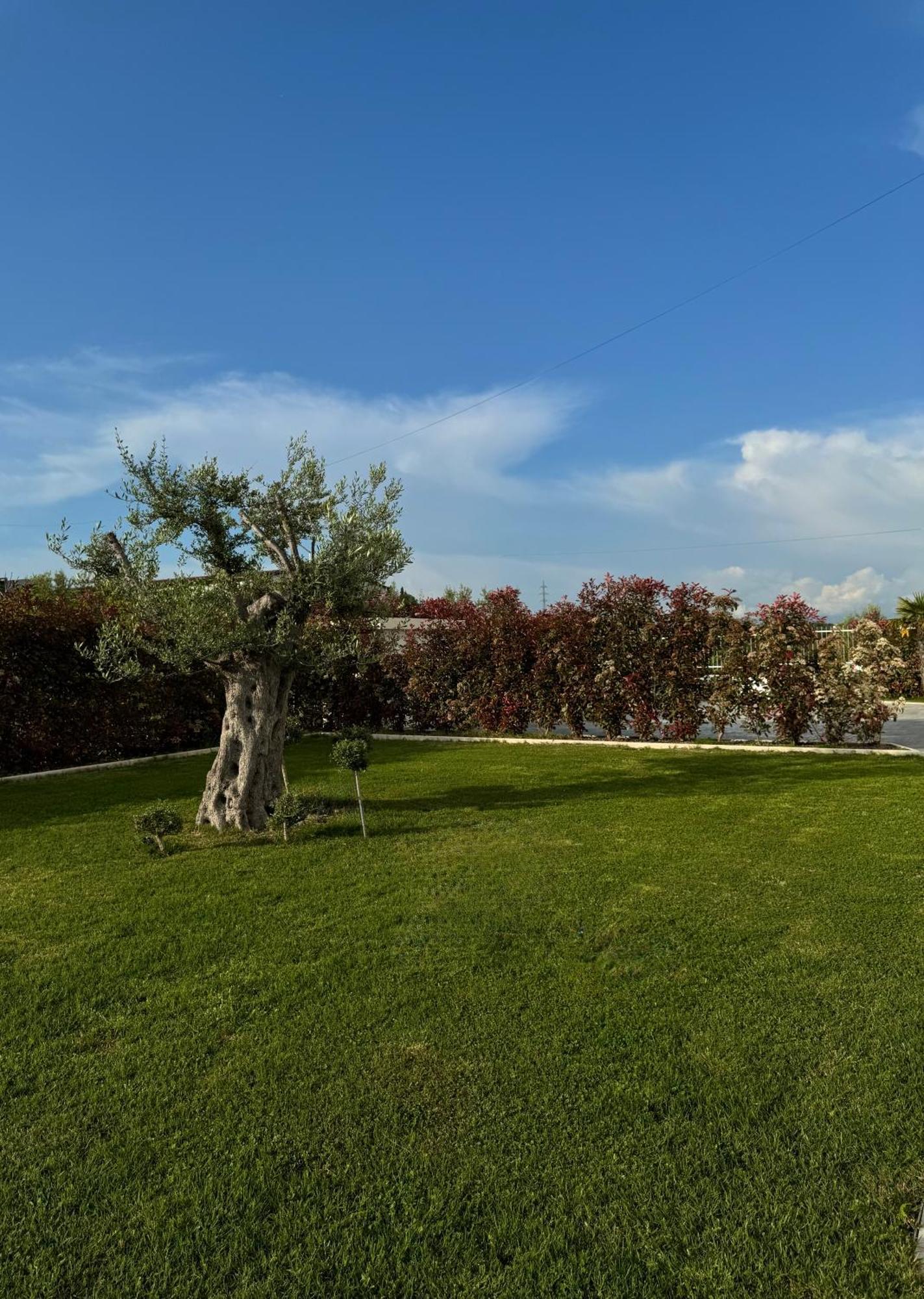 Villa Esmi Durres Kryemëdhej Dış mekan fotoğraf